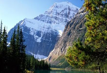 PG游戏官网登录入口-战胜困难：德国运动员为国争光